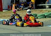 DSC_7001 copie